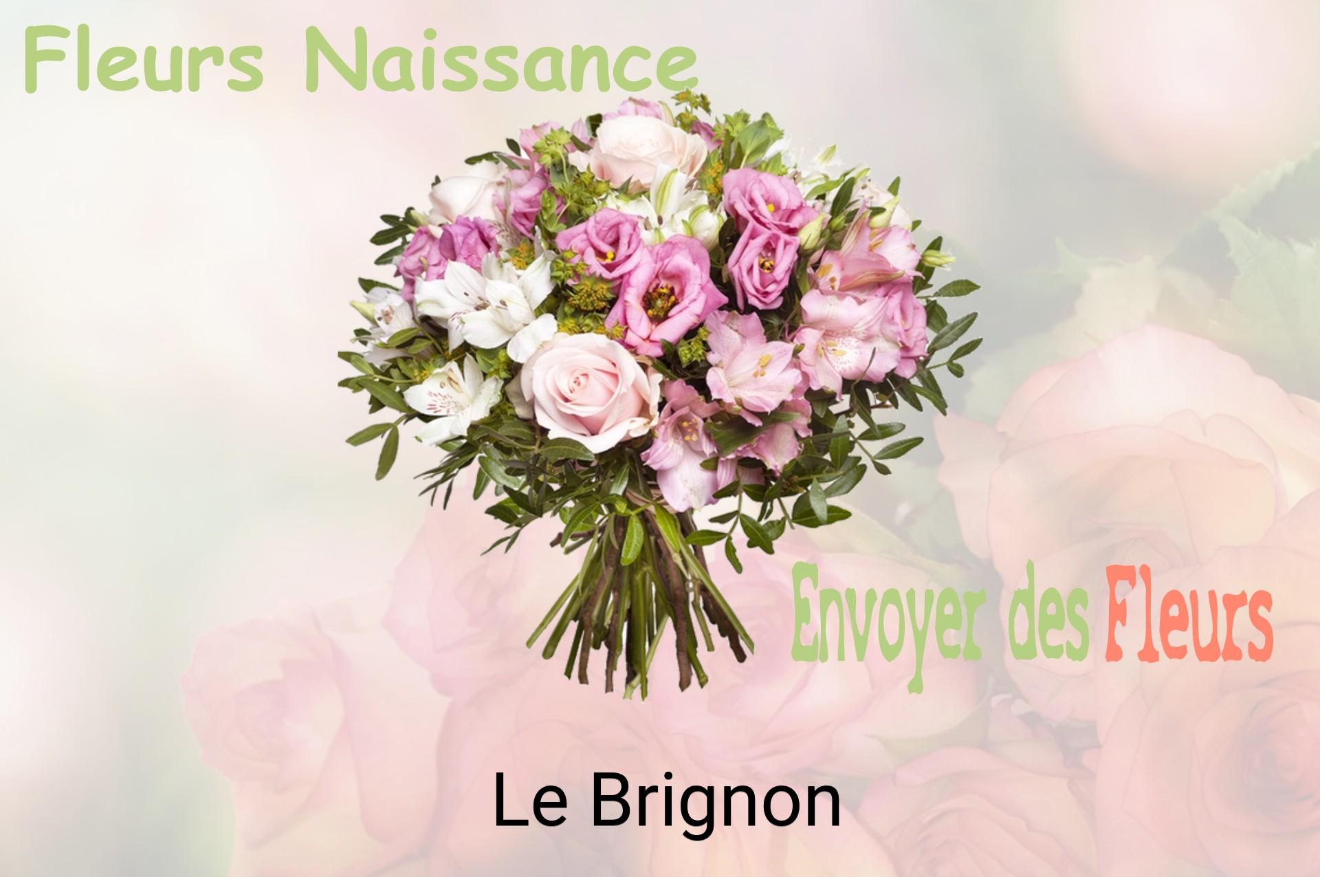 Bouquet de fleurs de naissance livré à Le Brignon