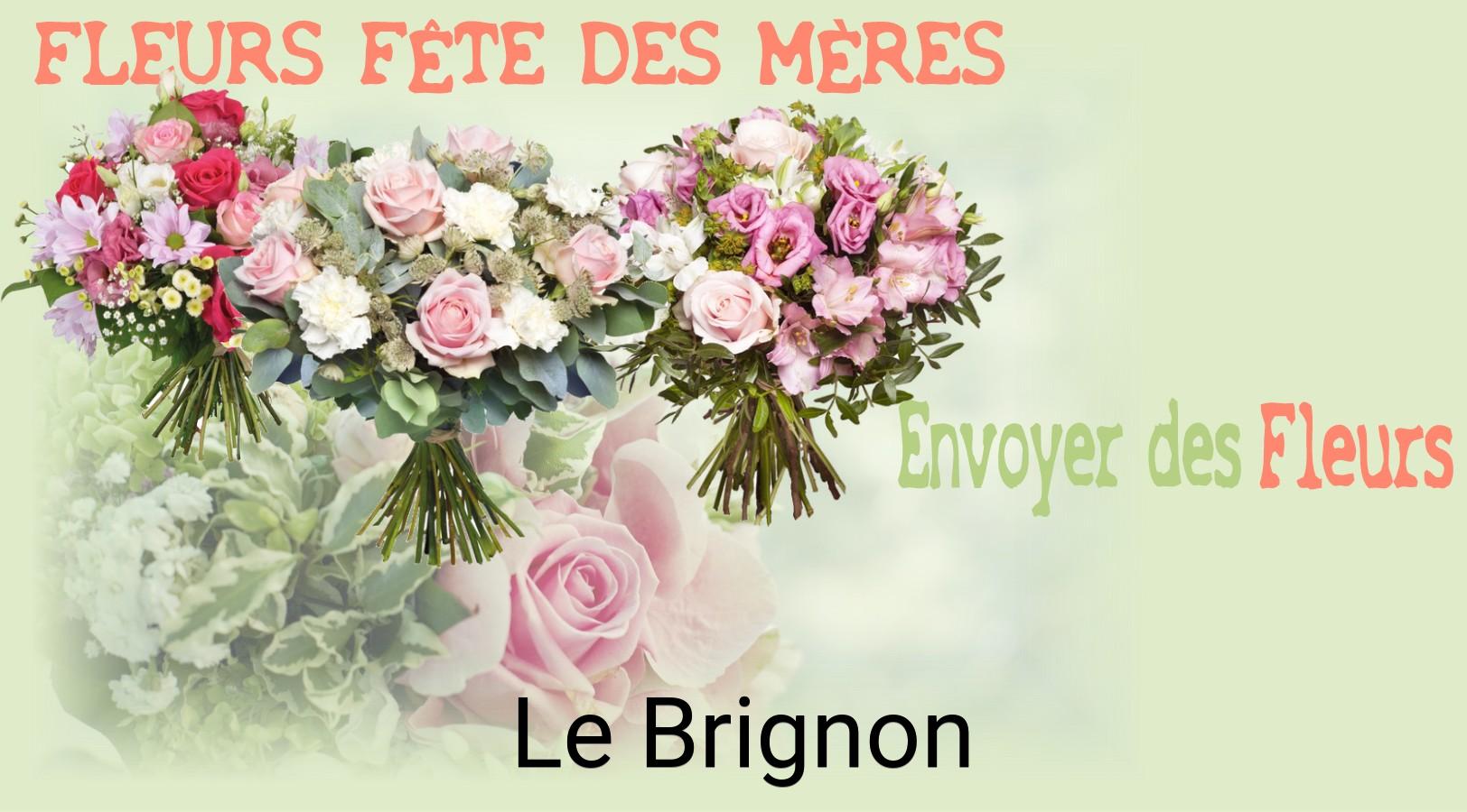 Bouquet de Fête des Mères livré à Le Brignon